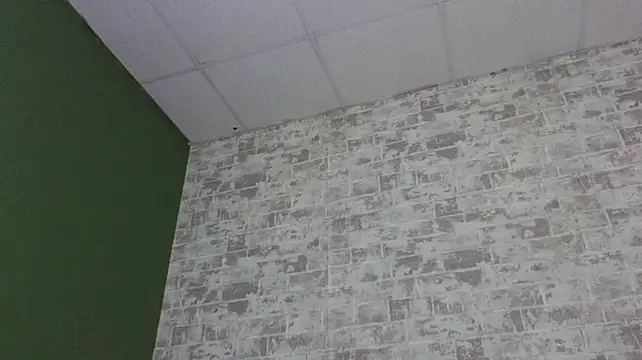 Vlada_vv webcam