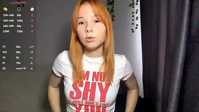 Dreamchase webcam