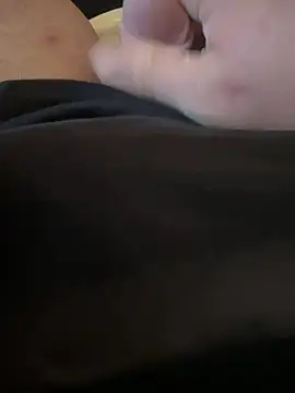 Fjome webcam