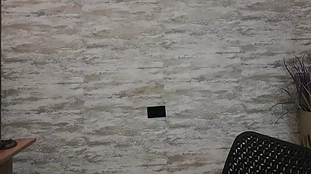 HOTBLACKANDWHITE2 live cam on StripChat