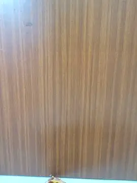 Teri_lella