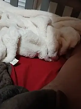 Brickstash live cam on StripChat