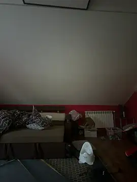 czruz webcam