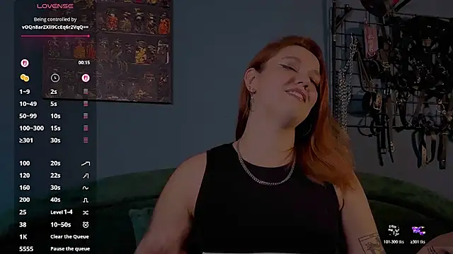 Serve_to_Alexa webcam