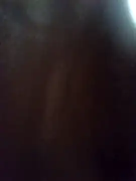 lbezzybaby88 live cam on StripChat
