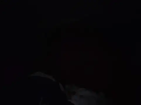 Toycockhot live cam on StripChat