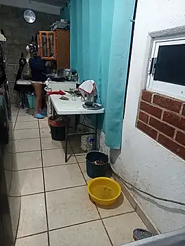 Phenylalanine_888 webcam
