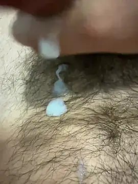 Gattolollo98 live cam on StripChat
