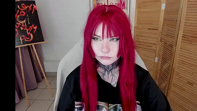 mekurisu webcam