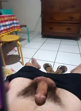 userbrasil12345