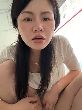 cici-2026 webcam