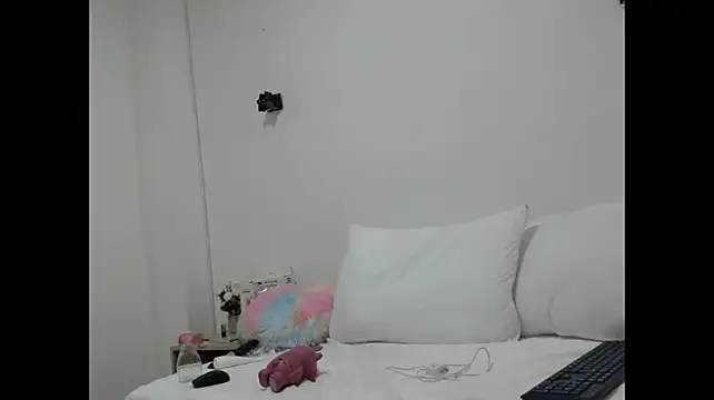 Nasht_ webcam