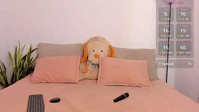 AkiraHomers webcam