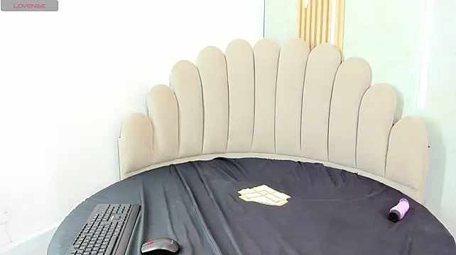 alexaparkeer webcam
