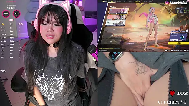 ammiasian webcam