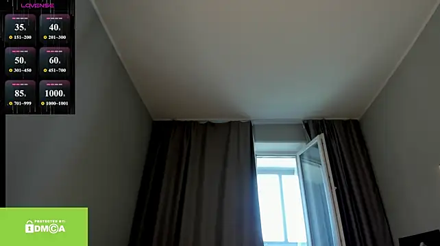 LiMcDaniel webcam