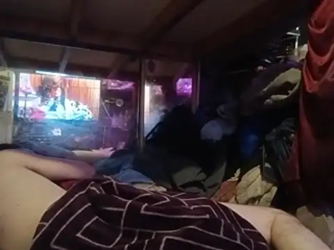 nearby_causual live cam on StripChat