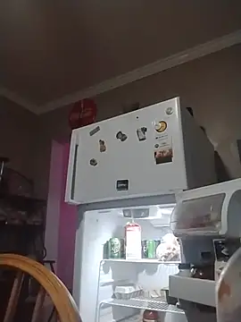 ReallyReallyReal webcam