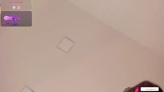 Scarlett_grey1 webcam