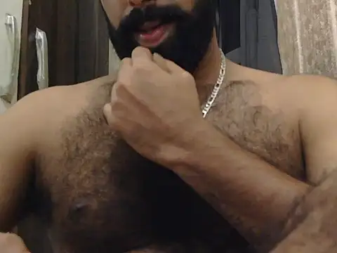 indianhairybull (M young) - Cum show