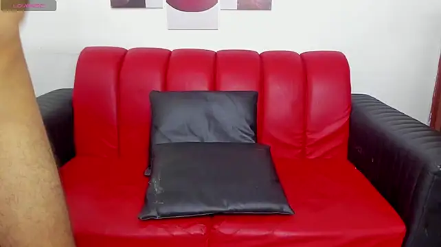 Extreme_Team8 webcam