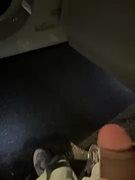 MetaDaddy