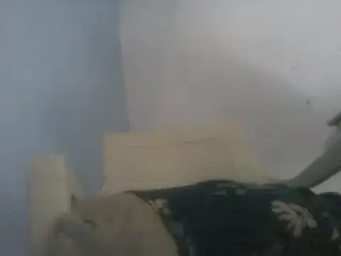 verg01 live cam on StripChat
