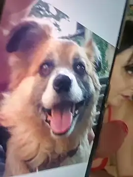 lucillabollente