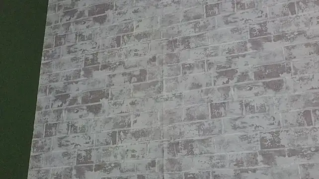 Vlada_vv webcam