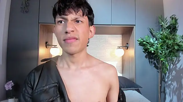 Pierre_Leroy_ webcam