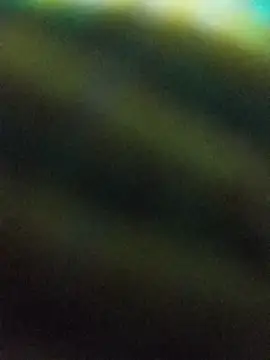 hairy_mannn