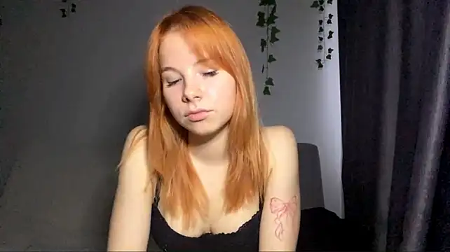 Dreamchase webcam