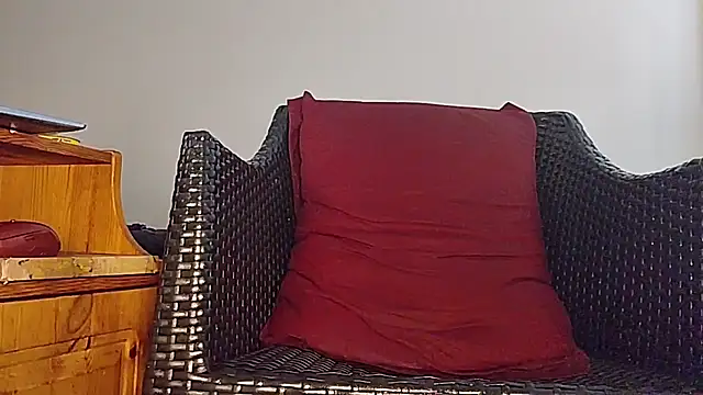 Tyyson03 webcam