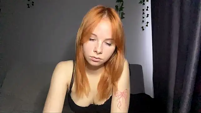 Dreamchase webcam