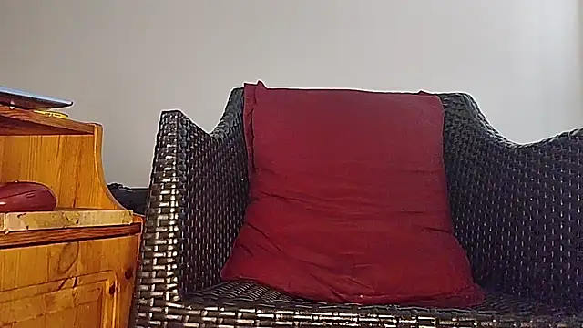 Tyyson03 webcam