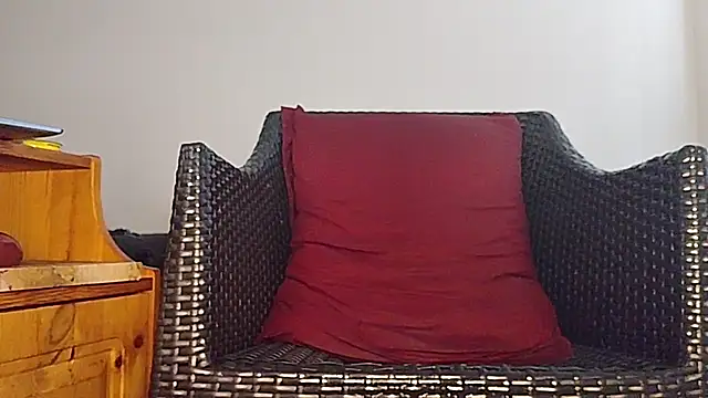 Tyyson03 webcam