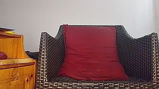Tyyson03 webcam