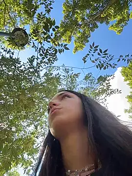 DollyTall
