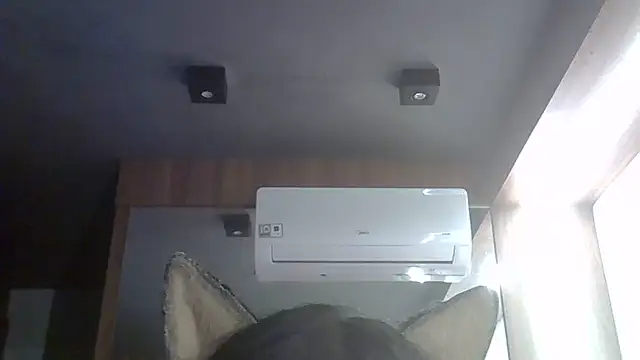 SkinnyKitten live sex cam