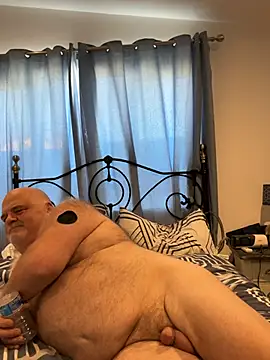 greyoakbear