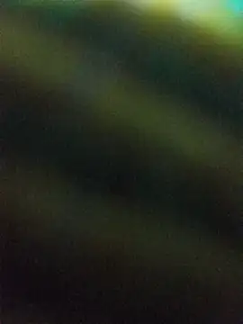 hairy_mannn