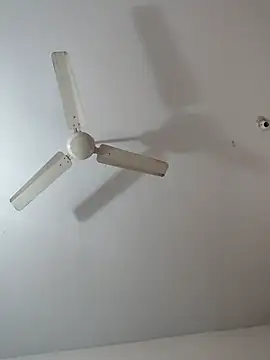 manasa_