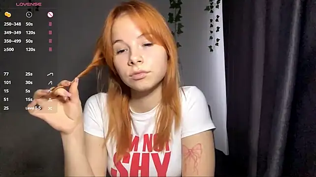 Dreamchase webcam