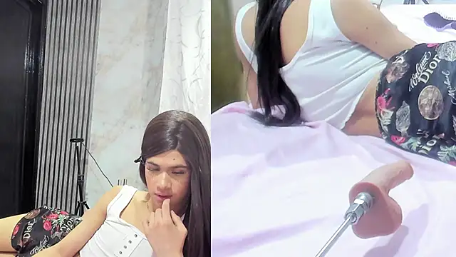 Model: sofi_boll25