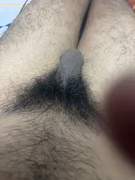 Junglii_Billi