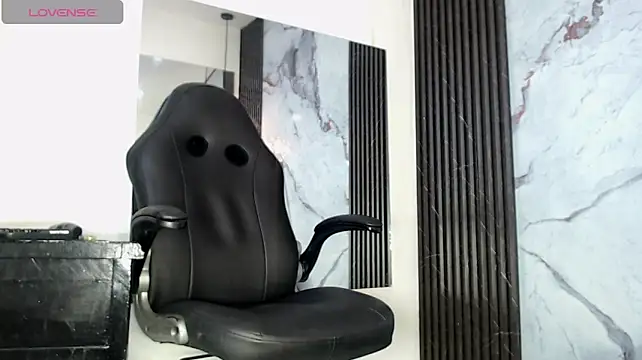BlakeSttone webcam