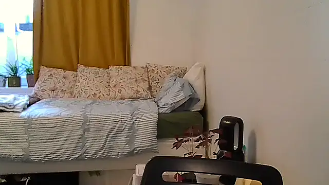 belgianshantie webcam