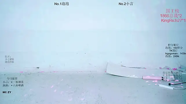 Nd-ING webcam