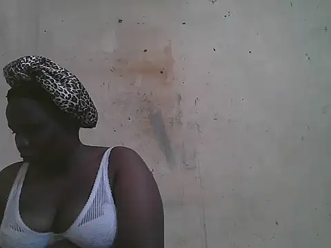 FOXY-DOLLY webcam