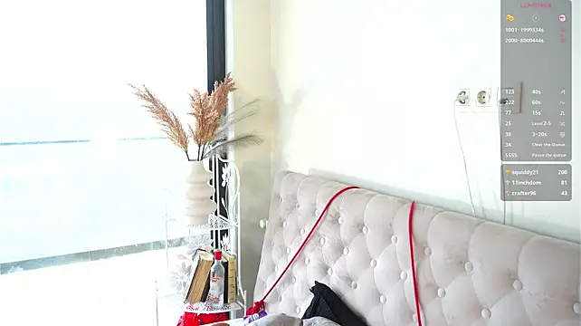 EngelCoyner webcam